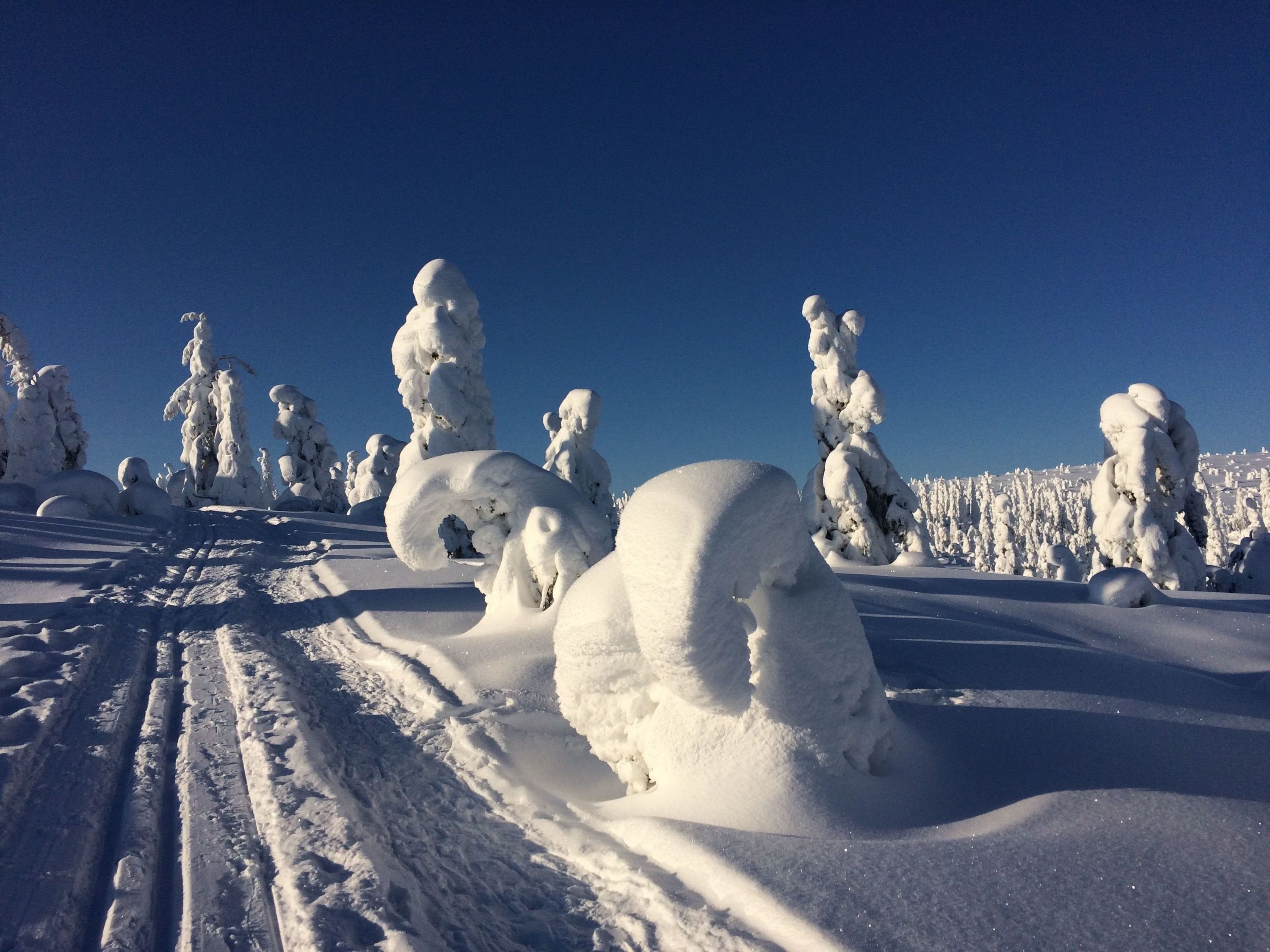 Holiday Club Kuusamon Tropiikki - Kuusamo