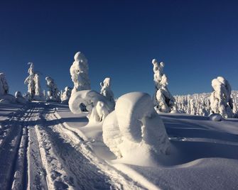 Holiday Club Kuusamon Tropiikki - Kuusamo
