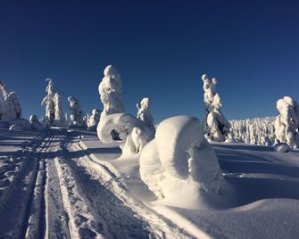 Holiday Club Kuusamon Tropiikki - Kuusamo