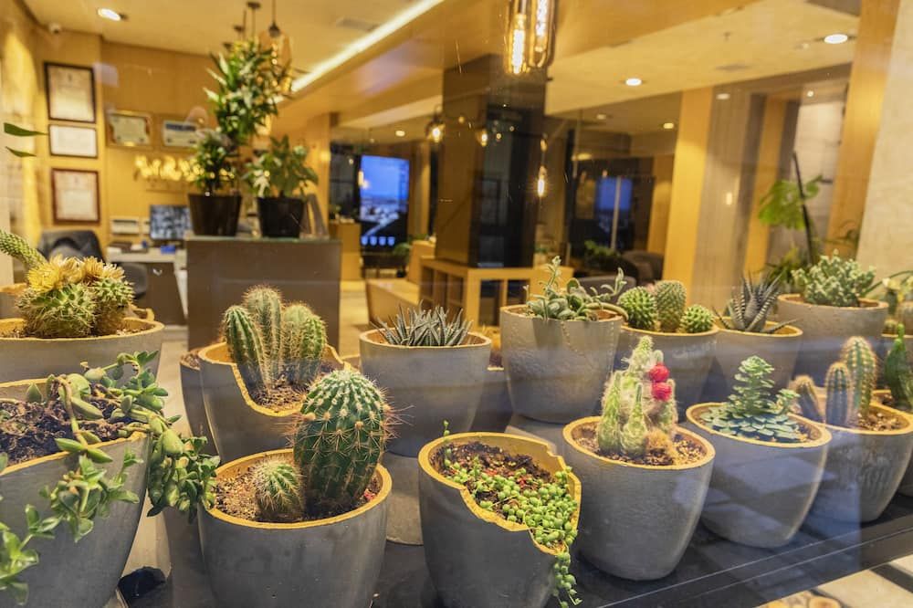 Ayramin Deluxe Hotel Taksim