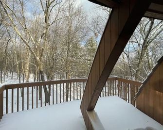 Unique Dome Home With Hot Tub & Piano, on 28 acres - New Paltz - Балкон