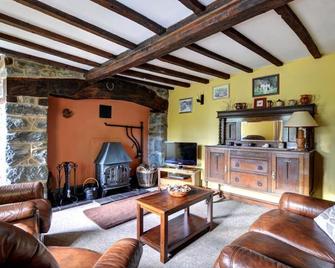 Gors - Meifod - Living room