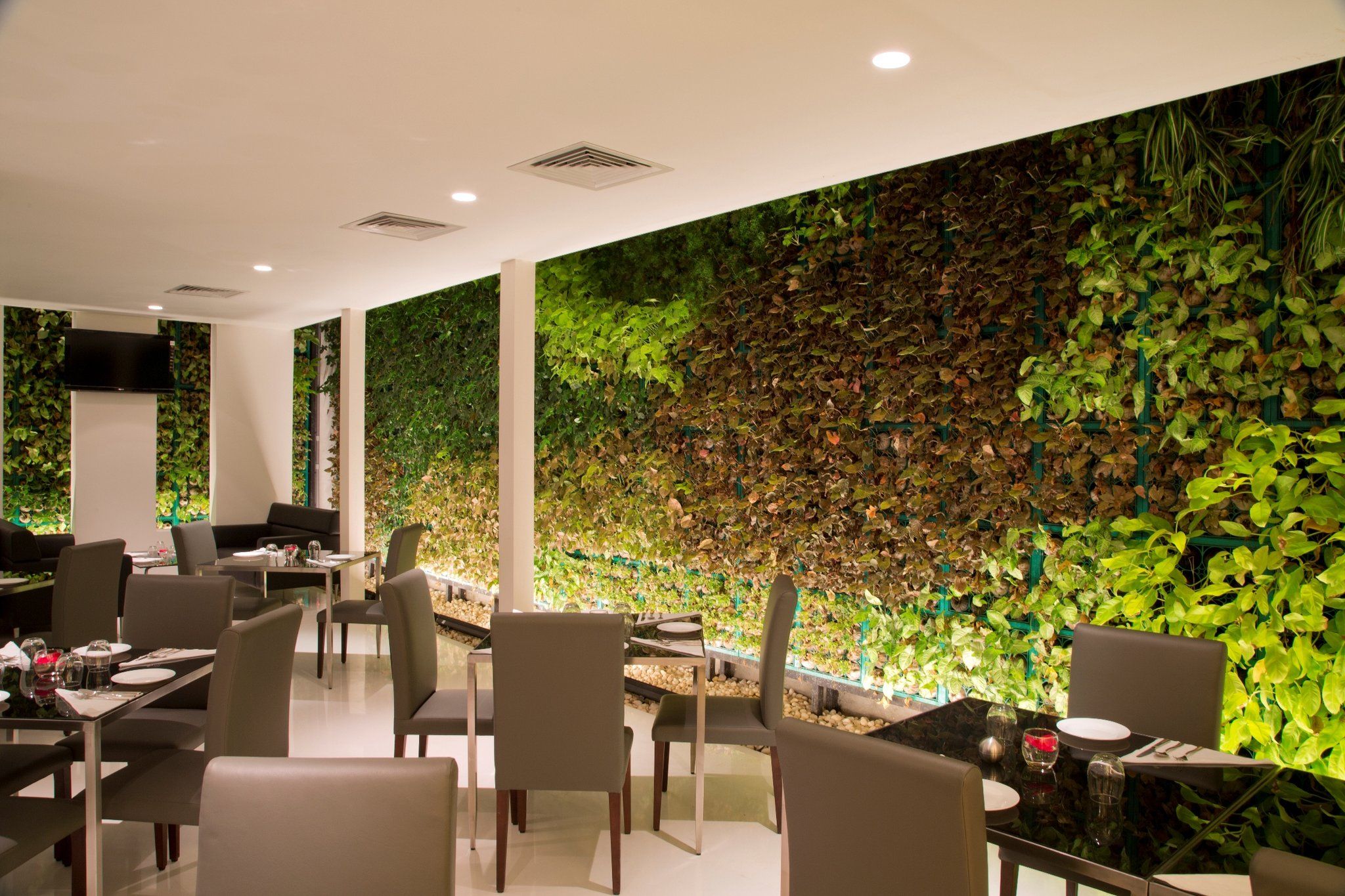 Springs Hotels and Spa - באנגאלור - מסעדה