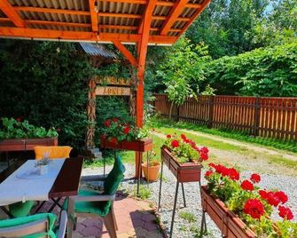 Pension Agnes - Vişeu de Sus - Patio