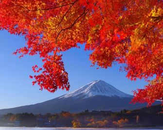 Kamenoi Hotel Fuji - Fujiyoshida