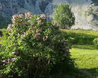 Several apartments / houses for rent in a beautiful valley in France - Névache - Extérieur