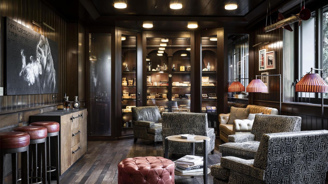 ذا ألبينا جي شتاد