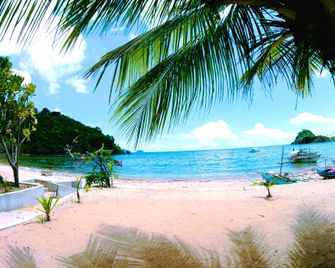 Mg Chateau Resort - El Nido - Plaj