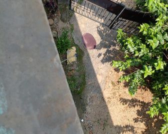 Brahmaputra Homestay - Guwahati - Building