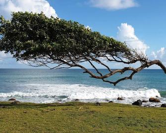 La Colline Verte - Deshaies - Plage