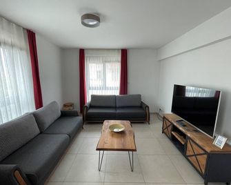 High standard accommodation near the center of Basel - Saint-Louis - Phòng khách