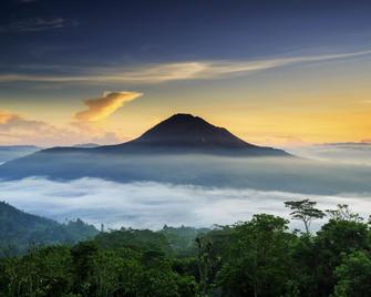 Bunbulan Hill Hostel and Cottage - Kintamani - Outdoors view