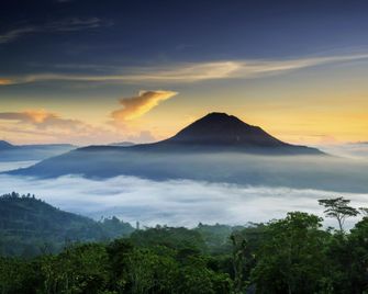 Amerta Sari Hotel & Restaurant - Kintamani - Outdoor view