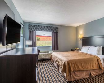 Rodeway Inn Ludington - Ludington - Habitación