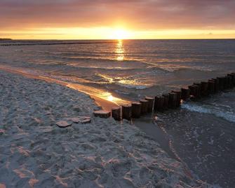 Kranich - Zingst - Strand