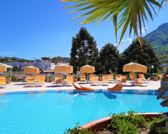 Hotel Parco Delle Agavi - Forio - Pool
