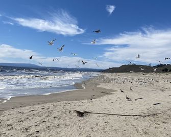 Beautiful Oceanfront, just steps to the beach, Fireplace, Remote location - Watsonville - Strand