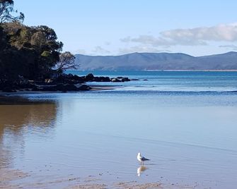 Hawley Beachside Accommodation - Hawley Beach - Playa