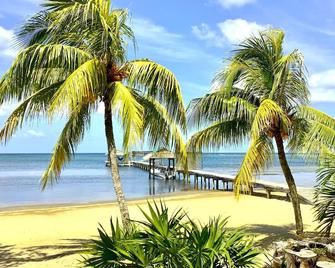 Fabulous Sunsets, White Sand beach - at The Perch in Sundancer Cabanas - Sandy Bay - Beach