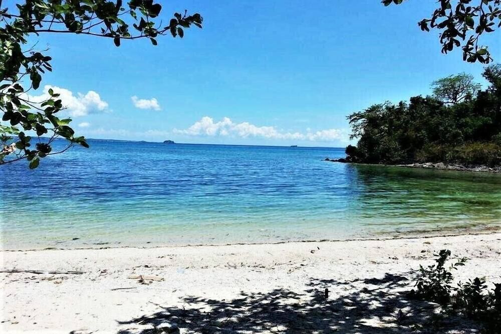 Zhang Resort And Dive Center - Daanbantayan - Beach
