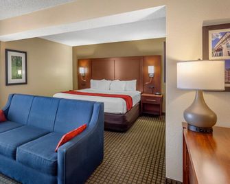 Comfort Inn and Suites Rochelle - DeKalb - Rochelle - Habitación