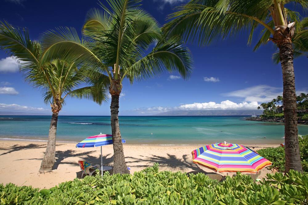 The Mauian Boutique Beach Studios on Napili Bay C 302 C