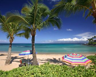 ذا ماوايان-بوتيك بيتش ستوديوز - لاهينا - شاطئ