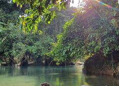 Your home in the Tangkahan Jungle - Batang Serangan - Extérieur