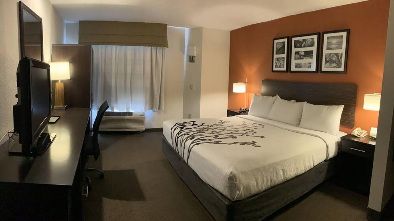 سليب إن فينيكس نورث آي 17