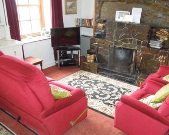 Cottage in Croesor. Snowdonian mountain retreat. Fast internet with vista views! - Penrhyndeudraeth - Living room