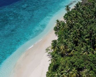 Fasdheythere Inn Maldives - Kendhoo - Plage