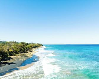 Pelican Reef Beachfront 2 Bed 1 Bath A/C On Small Farm, Surf Right Out Front - Aguada - Strand