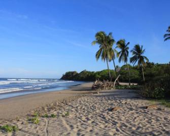 The Buena Vibra Collective - Nosara - Strand