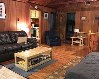 Quiet Getaway Cabin Near Ohiopyle and Seven Springs on a mountain stream. - Rockwood - Living room