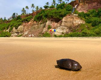 Nebo Hotel - Varkala - Strand