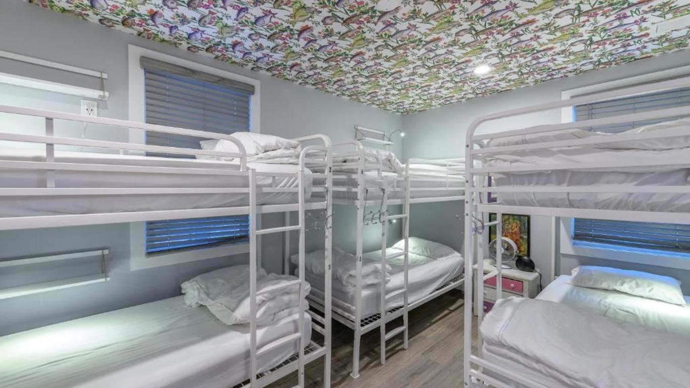 Black Elephant Hostel