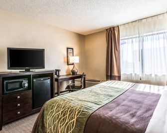 Comfort Inn Detroit Downtown - Detroit - Habitación