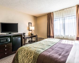 Comfort Inn Detroit Downtown - דטרויט - חדר שינה