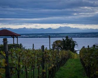 Burgunderhof Bodensee - Adults only - Hagnau am Bodensee - Vista del exterior