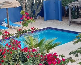 Caribbean Chillout Apartments - Kralendijk - Pool