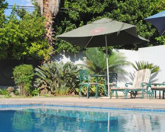 6 on Morris Guest Lodge - Sandton - Piscina