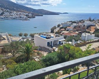 Blue Dolphin - Batsi