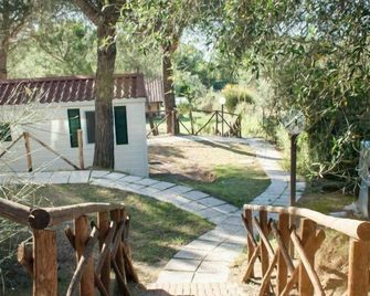 Cerquestra Camping Village - Magione - Innenhof