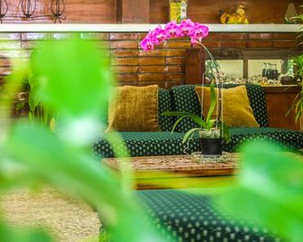 Eco Hotel Mariscal - San Salvador
