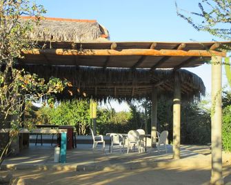 Desert Oasis with swimming pool, BBQ Wifi and outdoor firepit, bird watching - San José del Cabo - Patio