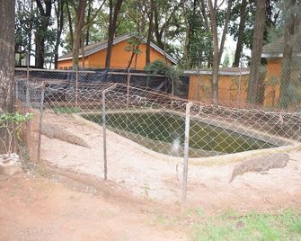 Mountainview Backpackers Kisumu - Kisumu - Patio