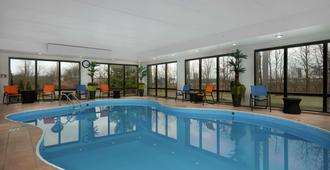 Hampton Inn Youngstown-West/I-80 - Youngstown - Pool