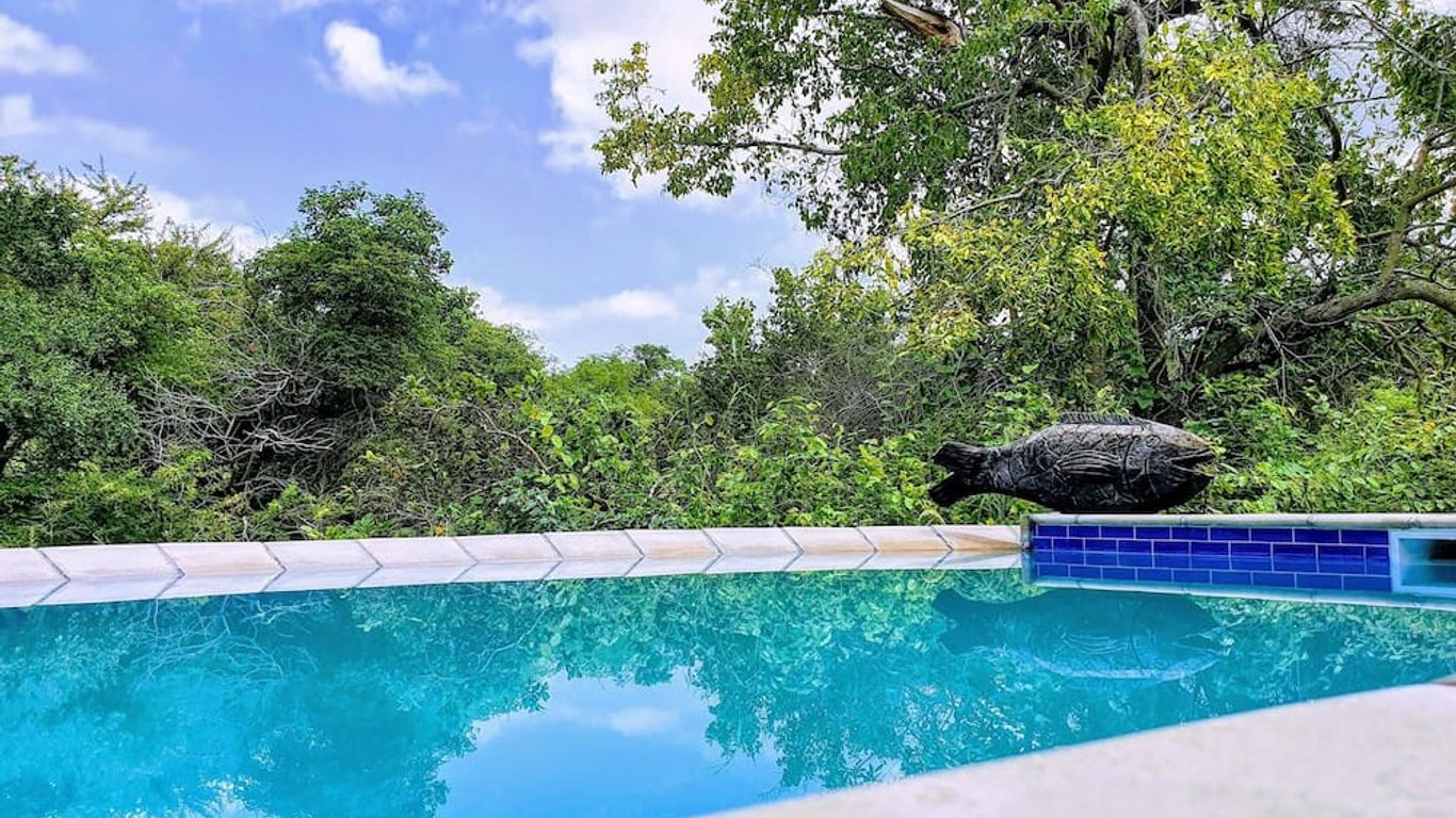 كينج فيشر سفاري لودج