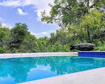 Kingfisher Creek Safari Lodge - Hoedspruit - Piscina