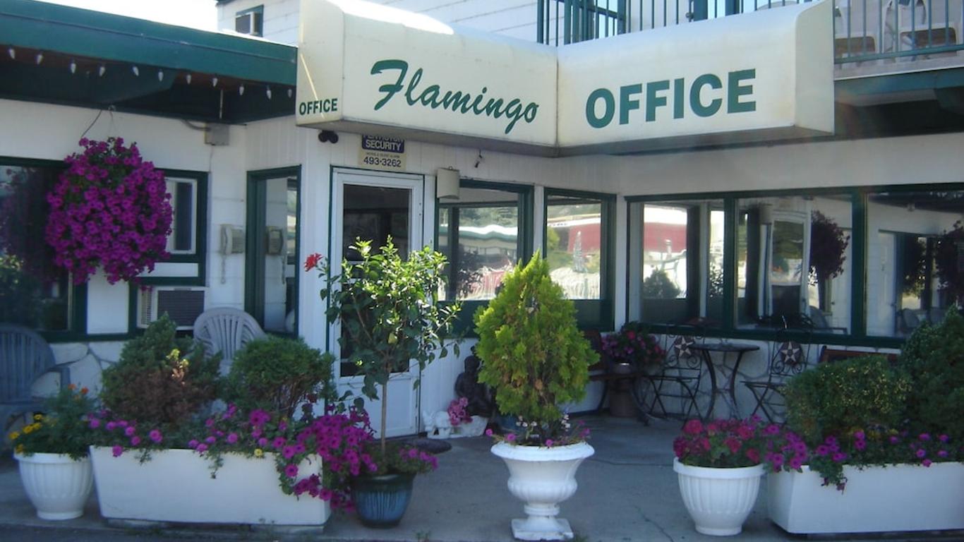 Flamingo Motel